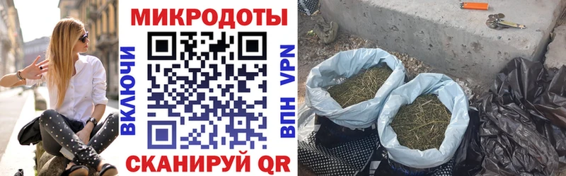 Псилоцибиновые грибы мицелий  Пущино 